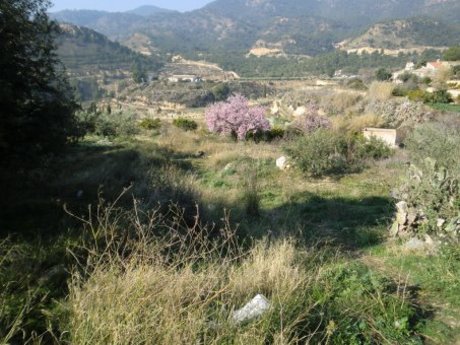 Terrenos